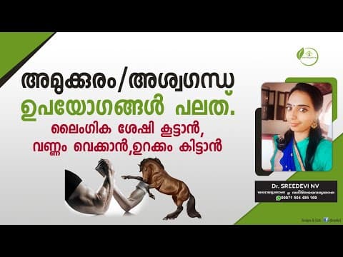 അമുക്കുരം|അശ്വഗന്ധ|Ashwagandha ഉപയോഗങ്ങൾ| ലൈംഗികശേഷി കൂട്ടാൻ,തടി കൂട്ടാൻ,ഉറക്കം കിട്ടാൻ Dr Sreedevi