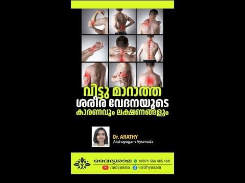 Body Pain Reason Malayalam | Body Pain Home Remedies | ശരീര വേദന മാറാൻ | Dr Arathy